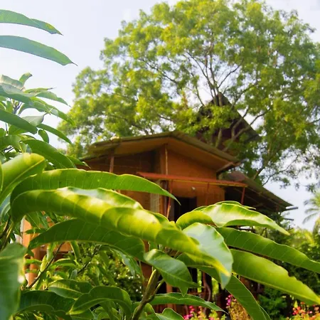 Anushka Nera Nature House Sigiriya Room photo