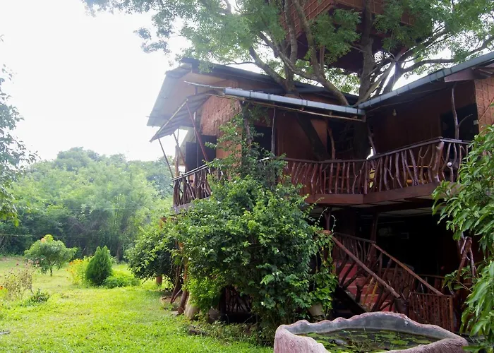 Anushka Nera Nature House