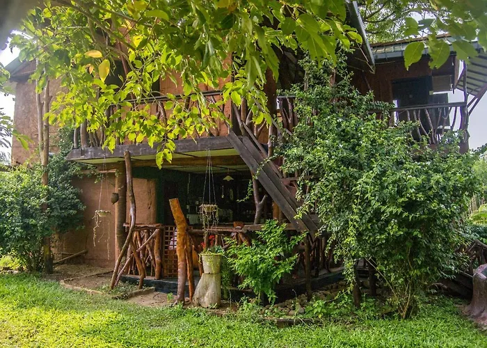 Anushka Nera Nature House