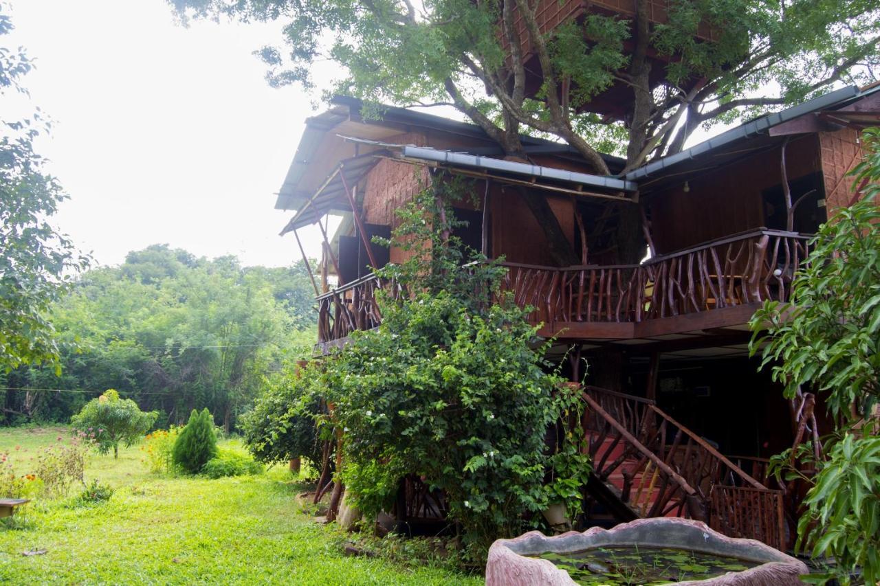 Villa Anushka Nera Nature House *