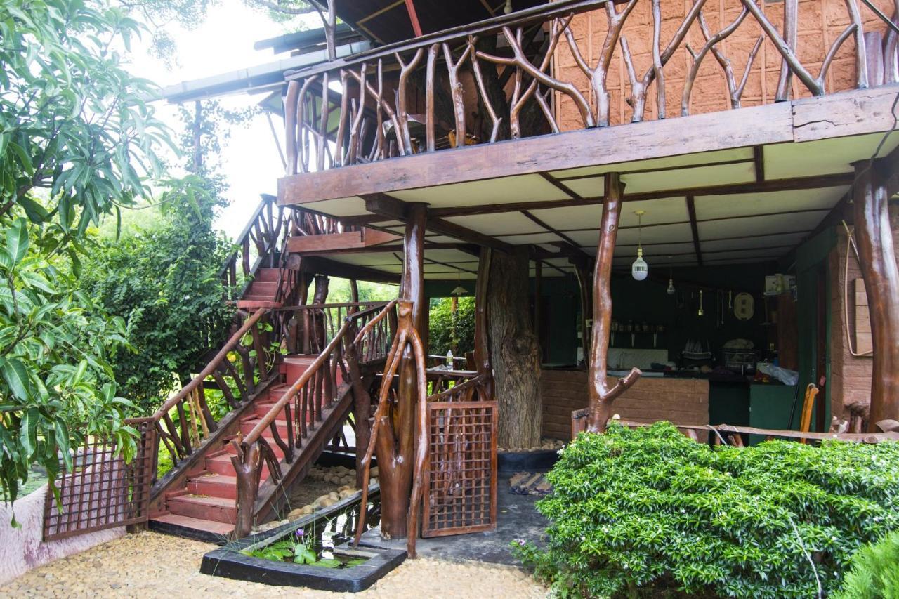 Anushka Nera Nature House *