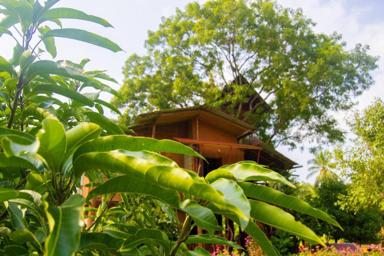 Anushka Nera Nature House Sigiriya