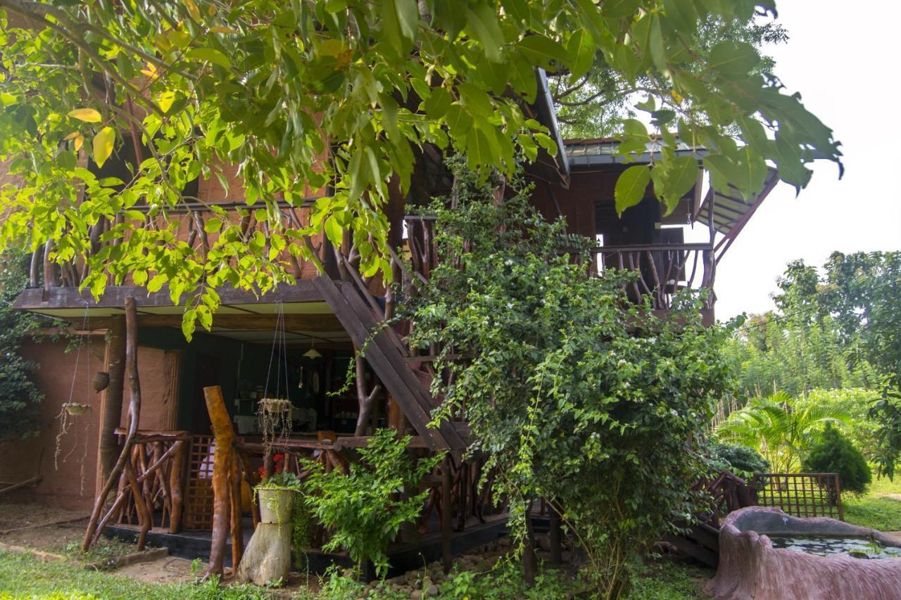 Anushka Nera Nature House *