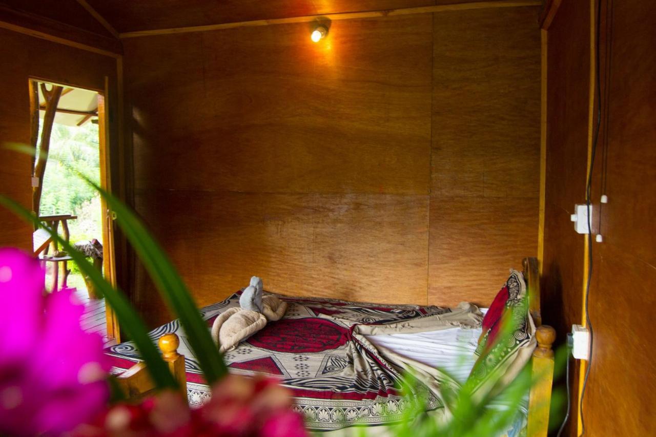 Anushka Nera Nature House Villa Sigiriya