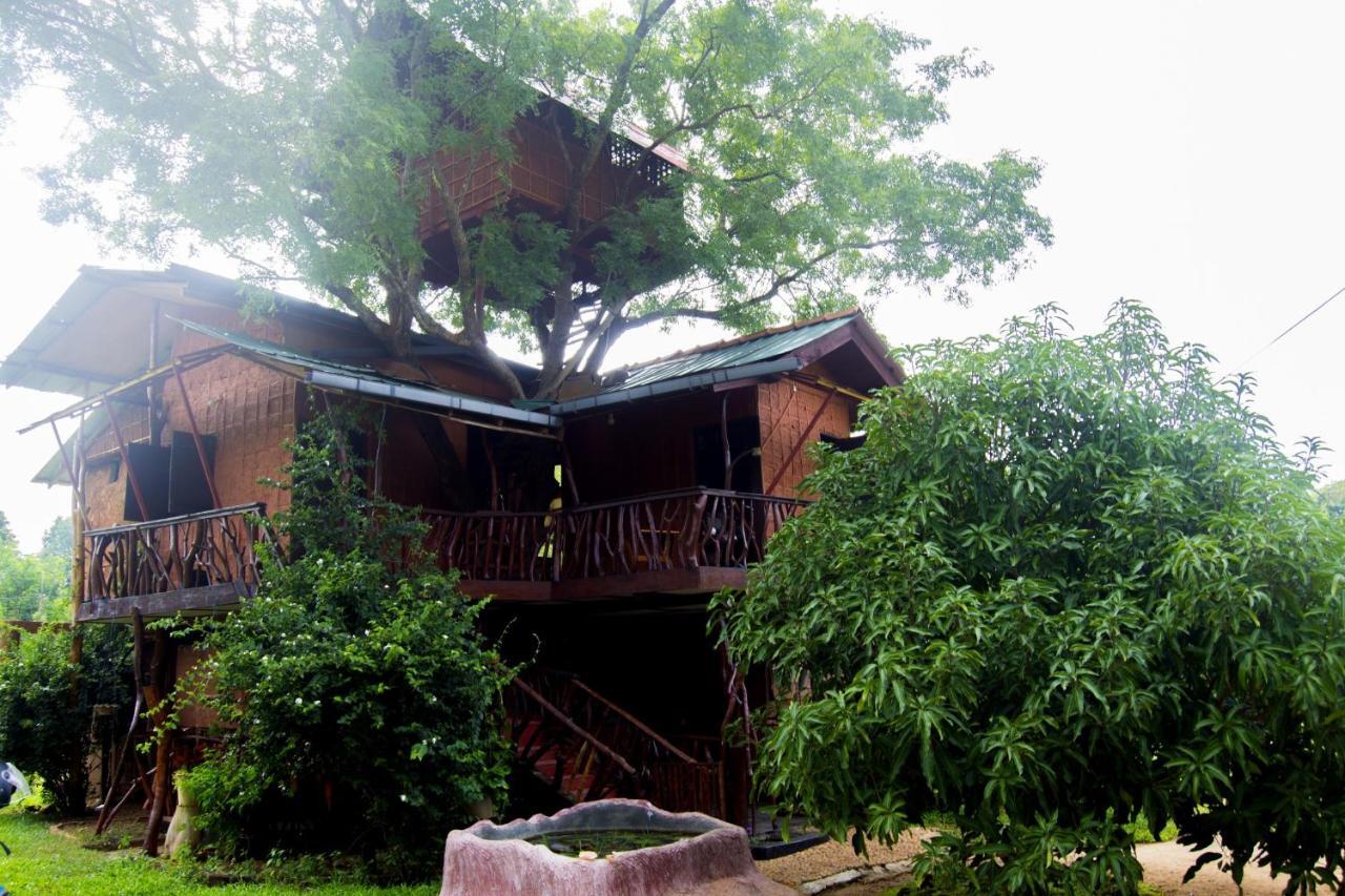 Villa Anushka Nera Nature House Sigiriya